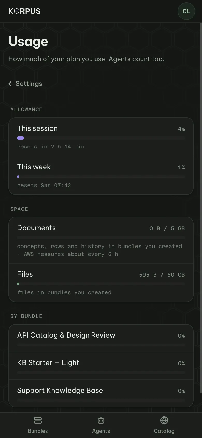 Usage: this session, this week, space, and each bundle