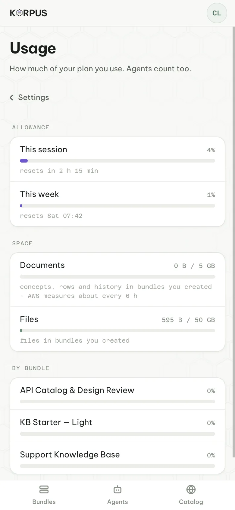 Usage: this session, this week, space, and each bundle